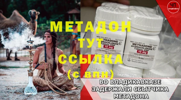индика Аркадак