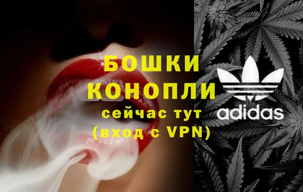 индика Аркадак
