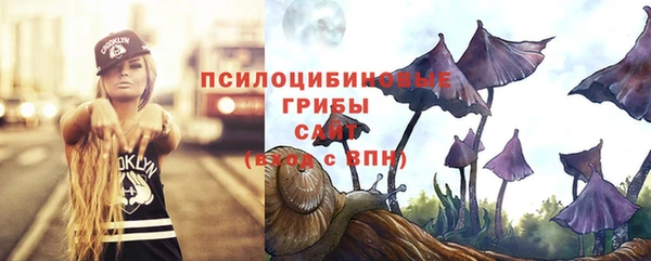 индика Аркадак