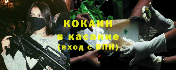 индика Аркадак